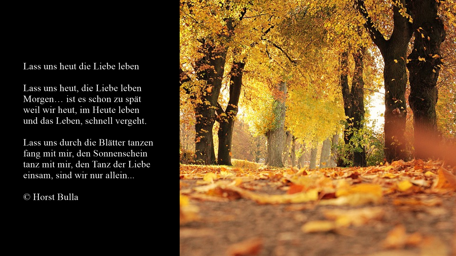 Lass uns heut die Liebe leben, ein Gedicht und Liebesgedicht von Horst Bulla, Dichter und Autor
